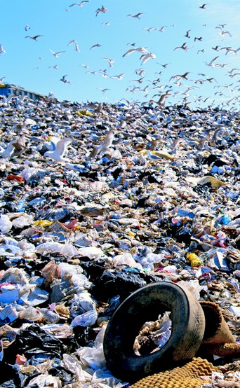 plastic