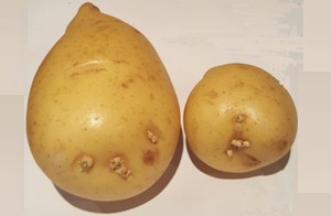 136