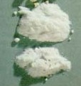 heroin-powder1_100.jpg (4757 bytes)