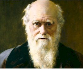 darwin