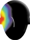 ear-rad1_134.jpg (3971 bytes)