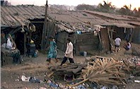 shanty-200.jpg (14250 bytes)