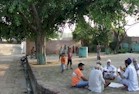 pipal