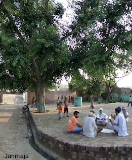 pipal