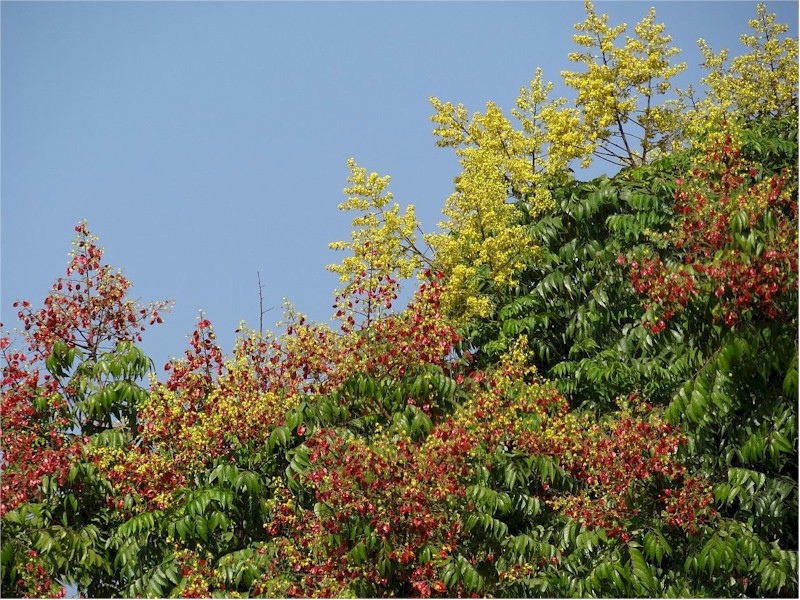 kbp1005