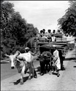 080603_shahpur2_150.jpg (11985 bytes)